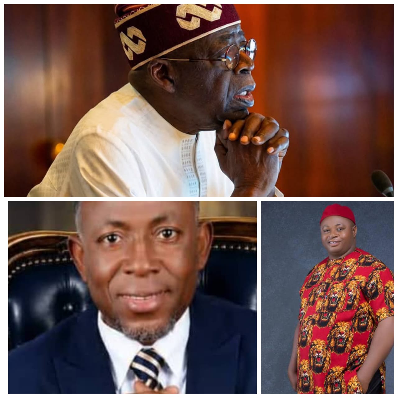 Ogoh, Egwu Assure Tinubu of Massive Southeast Support in 2027